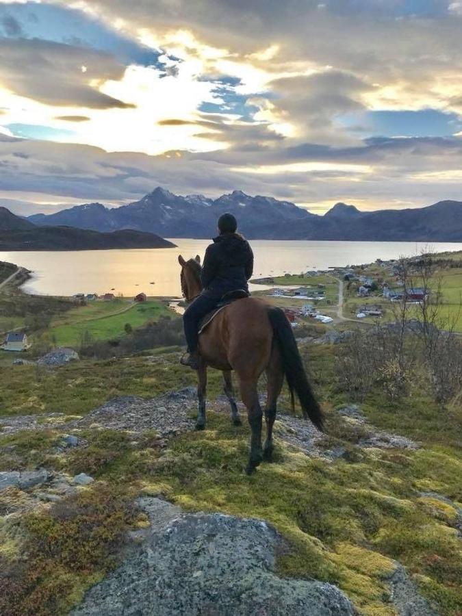 Storjord Farmstay Ranchhouse Kvaloya Bagian luar foto