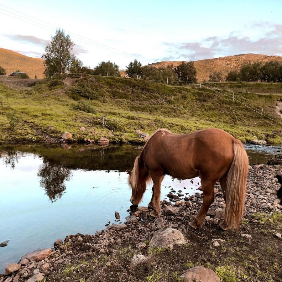 Storjord Farmstay Ranchhouse Kvaloya Bagian luar foto