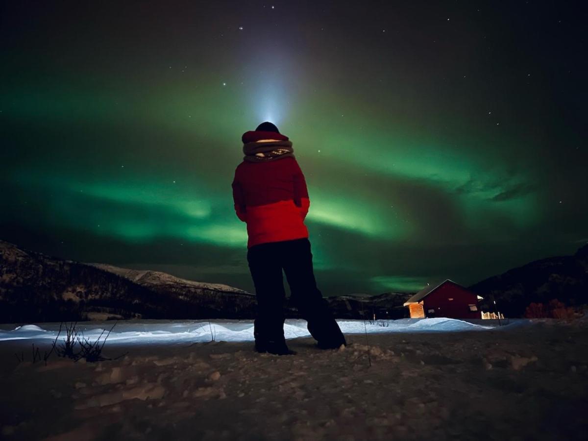 Storjord Farmstay Ranchhouse Kvaloya Bagian luar foto
