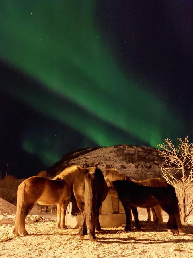 Storjord Farmstay Ranchhouse Kvaloya Bagian luar foto