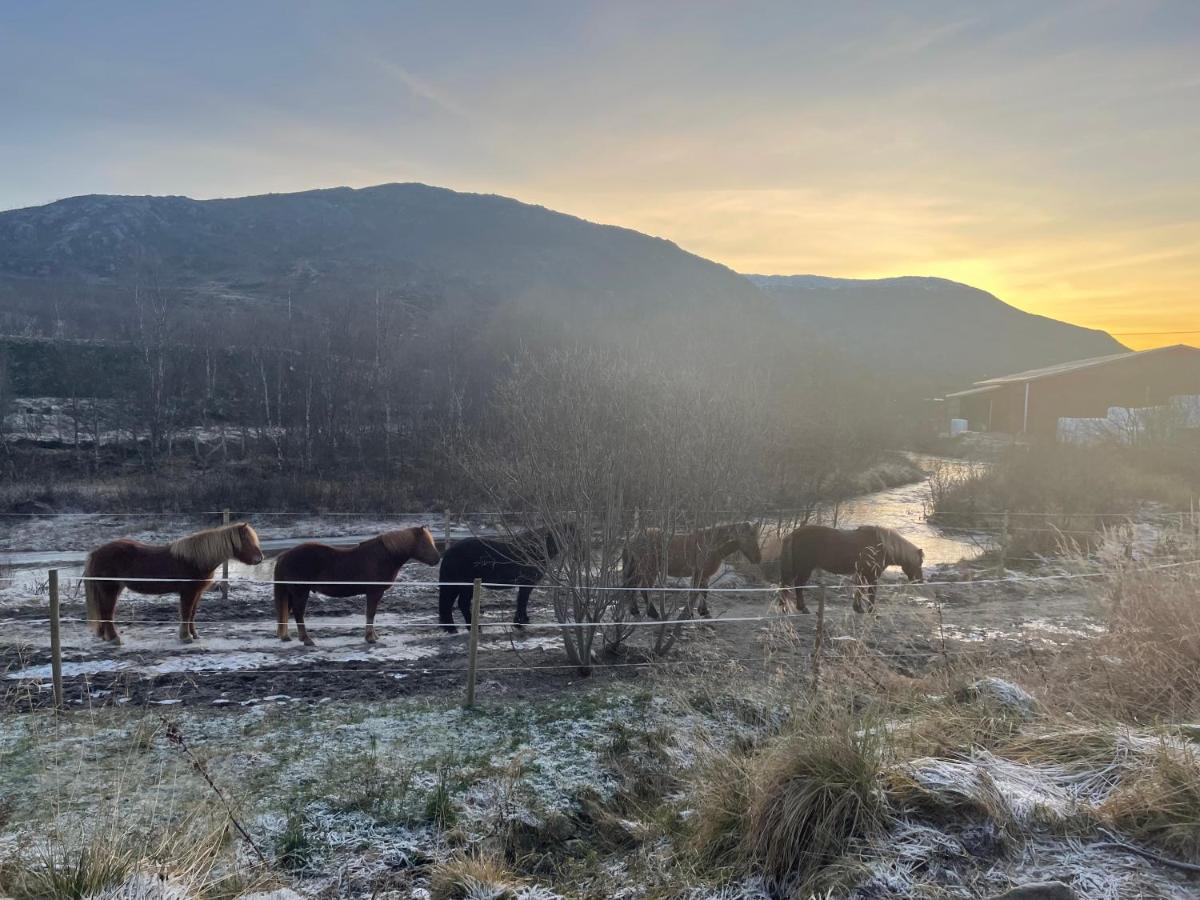 Storjord Farmstay Ranchhouse Kvaloya Bagian luar foto